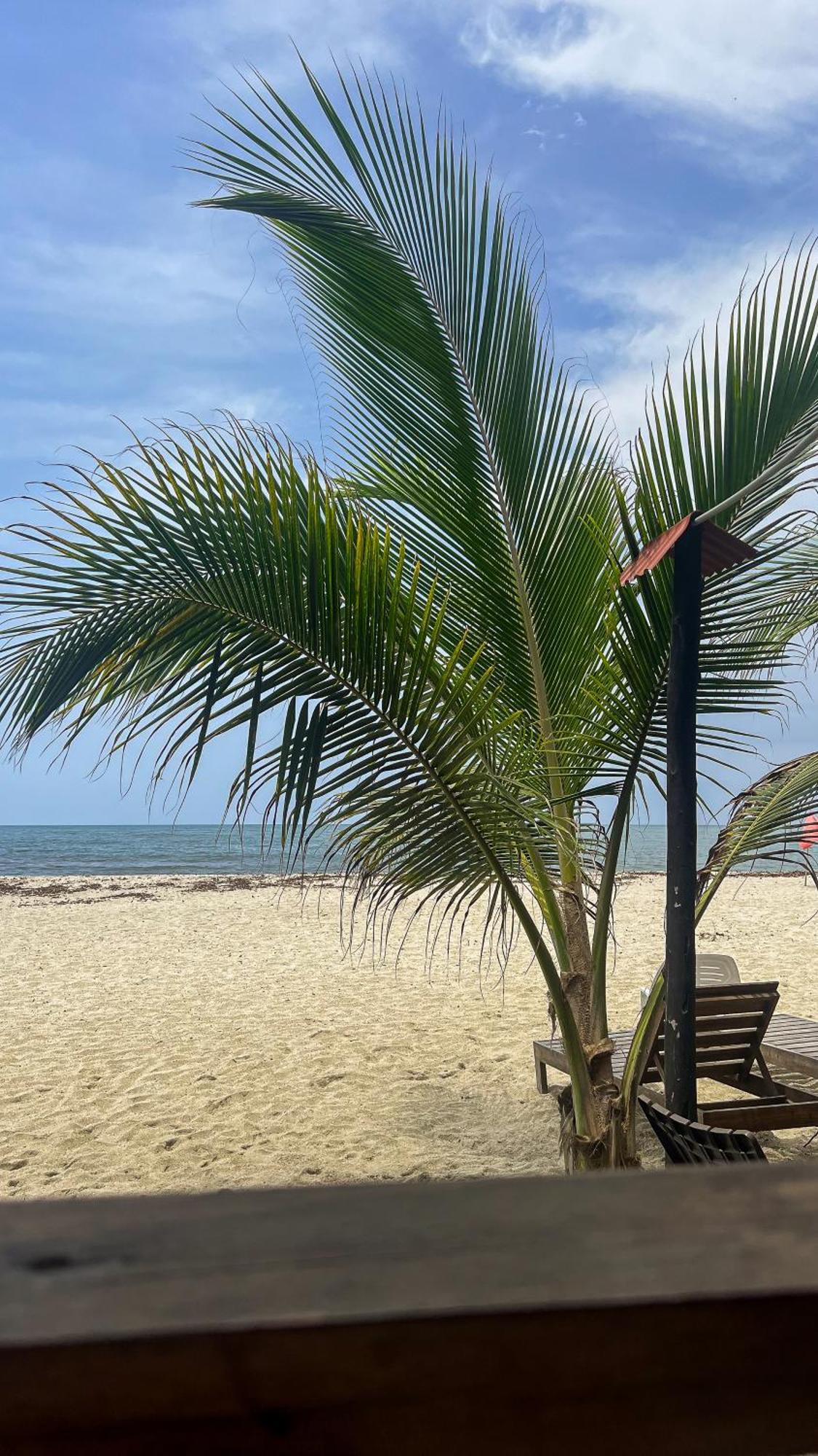 Hostal Mocambo Beach Guachaca Eksteriør bilde